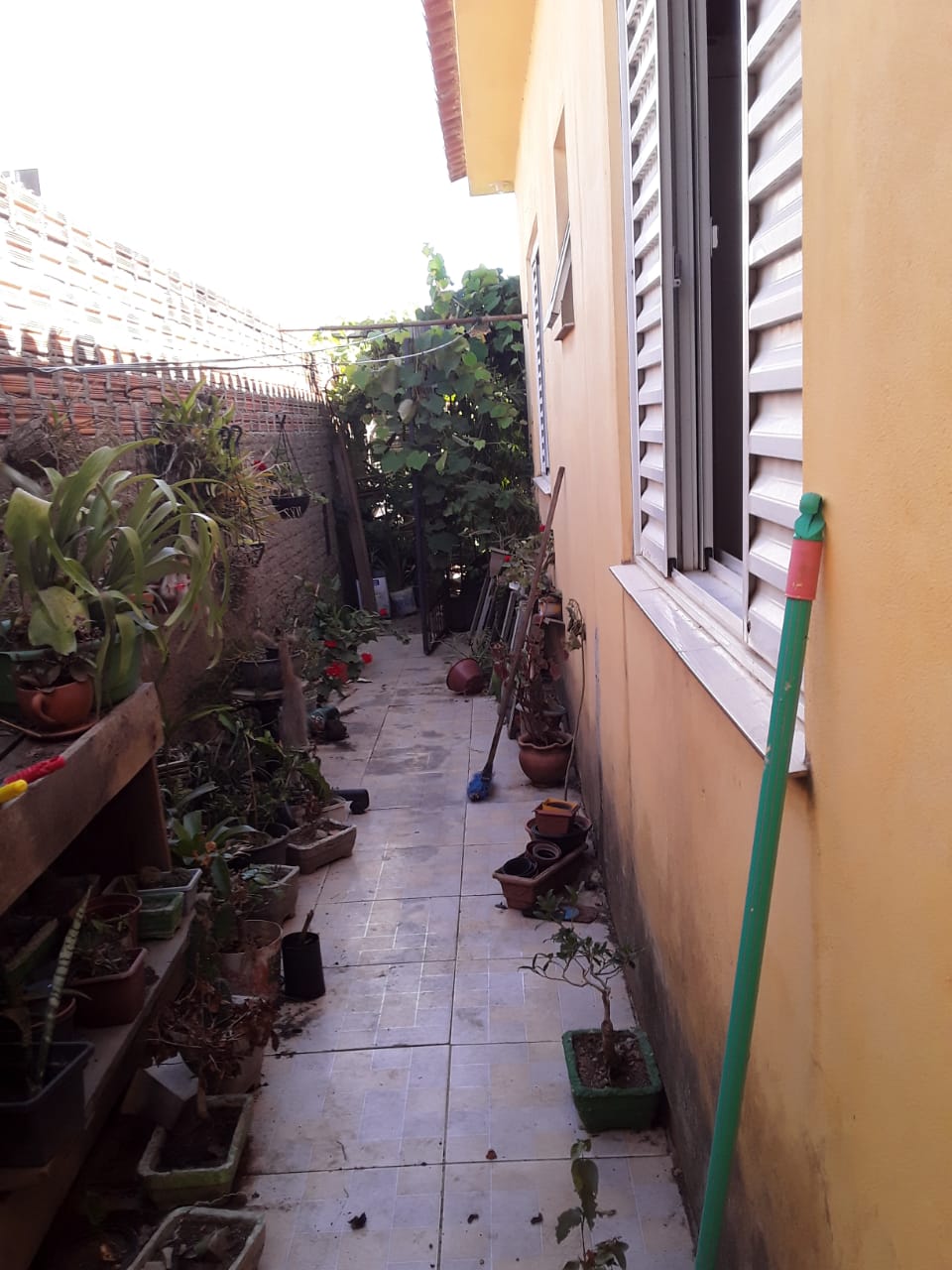 180123030155-forsterimoveis-d14df814-ad36-483c-ba28-0cc30713f81e.jpg